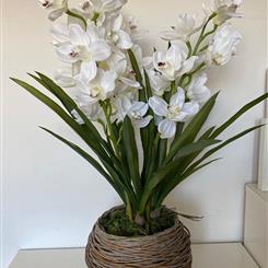 Artificial White Cymbidium Orchids