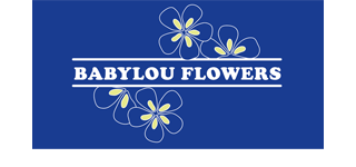 Babylou Flowers